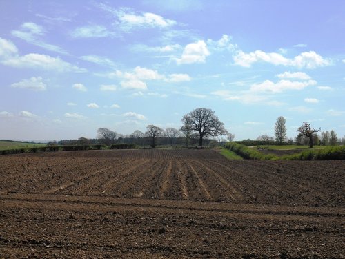 Farmland, Hatton