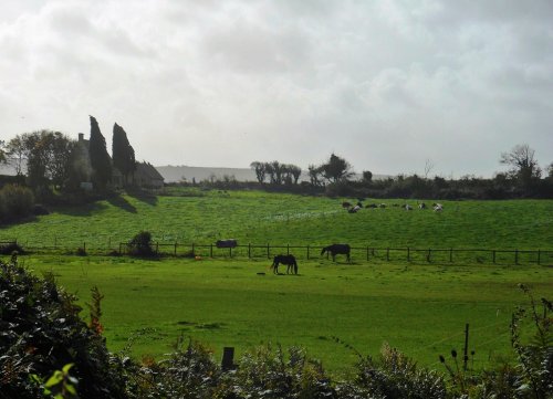 Farm, Ulwell