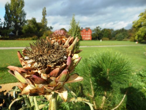 Kew Gardens