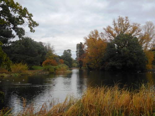 Lake, Kew Gardens