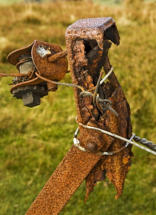 Rusty fence