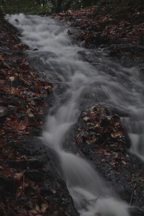 waterfall at Himley Hall