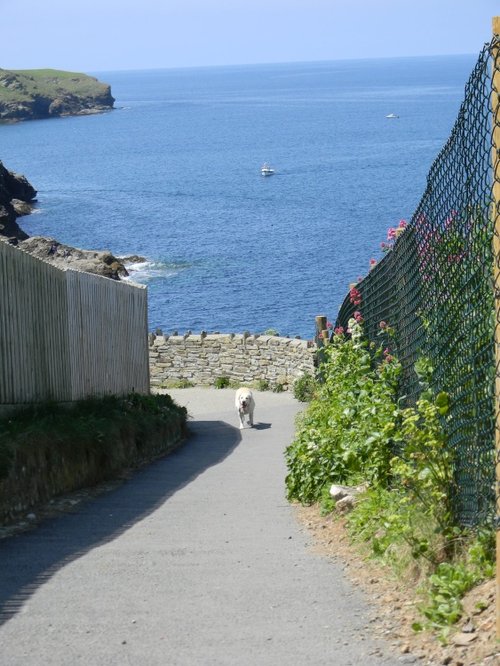 Path from a parking lot to Port Isaac