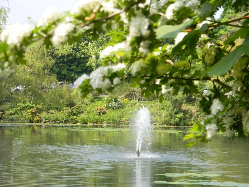 Pond at Bletchley Park