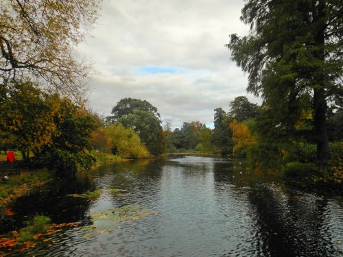 Lake, Kew Gardens