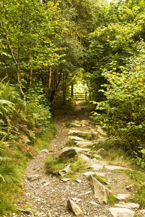Aira Force track