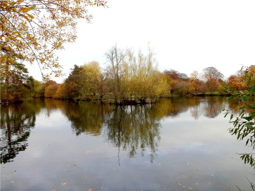 A calm autumn day on the lake at Nidd.