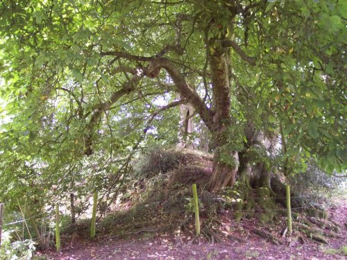 Bell Barrow, Church Farm, Maiden Bradley