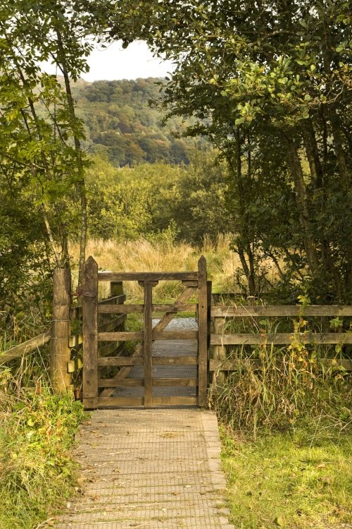 Gate and wall Borrans Park