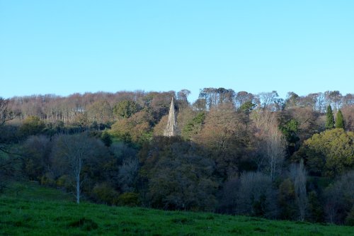 Monkton Wyld Trees and Church