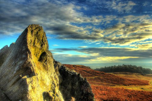 Bradgate Park
