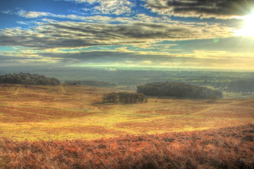 Bradgate Park