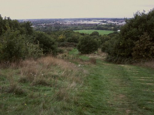 Horsenden Hill