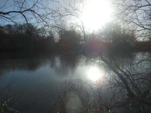 Coombe Abbey Country Park - the lake in Winter