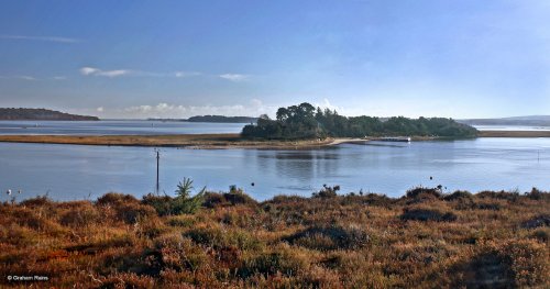 Arne RSPB Reserve
