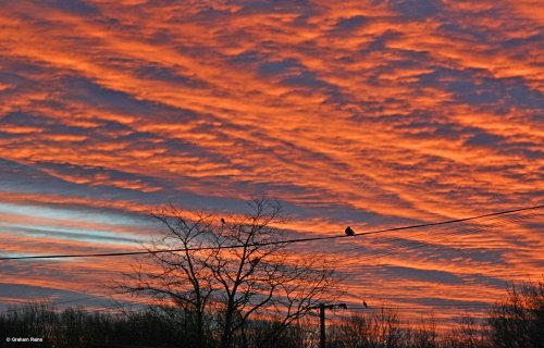 Stour Valley Winter, Shillingstone.