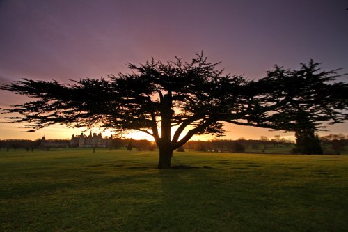 Burghley House