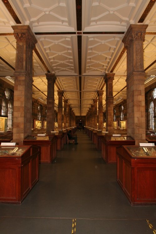 The Natural History Museum
