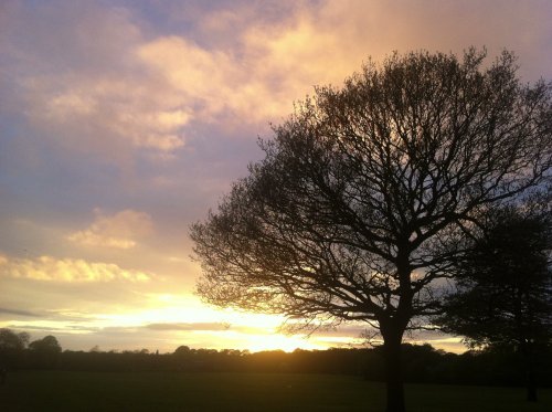 Sunset over Astley Park, Chorley