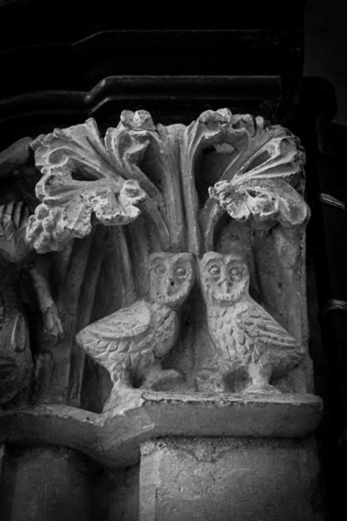 Lincoln Cathedral, two owls