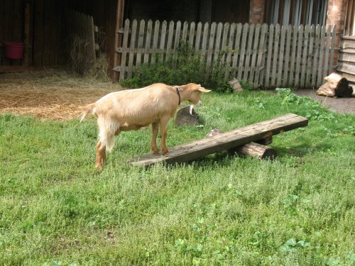 Mary Arden's House - A Great Insight Into Life In Elizabethan Times