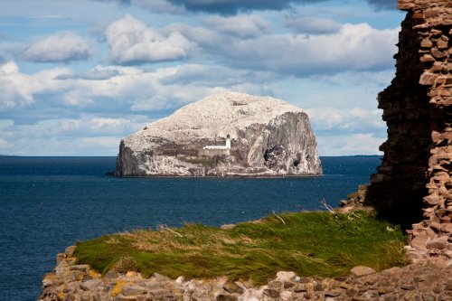 Bass Rock in nicely lit by the sun