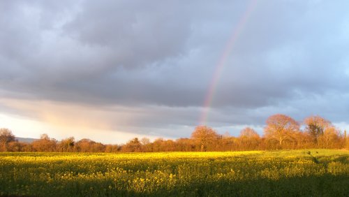 Rainbow in the Blackdown Hills, Somerset