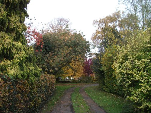 Shades of Autumn, Farm in Kent