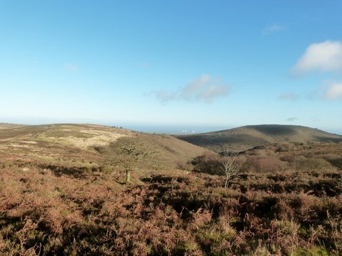 Quantock Hills