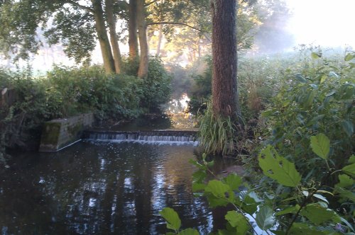 Hidden Gem near Bournville Village.