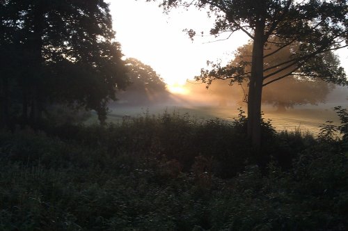 Autumn morning at Bournville.