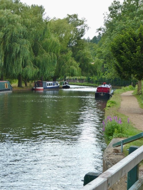 River Wey Heads For Guildford