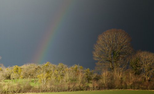 Blackdown Hills, Somerset
