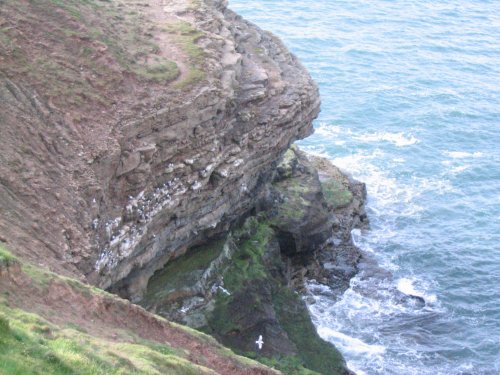 Filey Brigg - Promontory