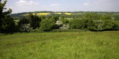 The Sussex Valley