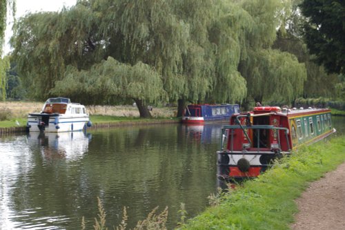 River Wey by Guildford