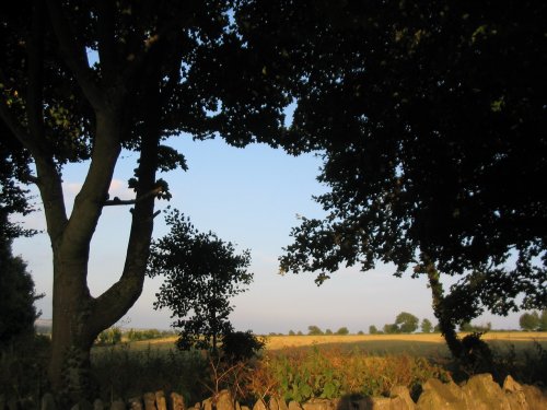 Nether Westcote Evening Walk (1)