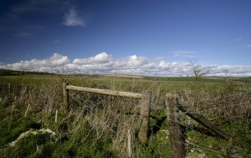 Sussex Landscape