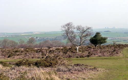 Quantock Hills