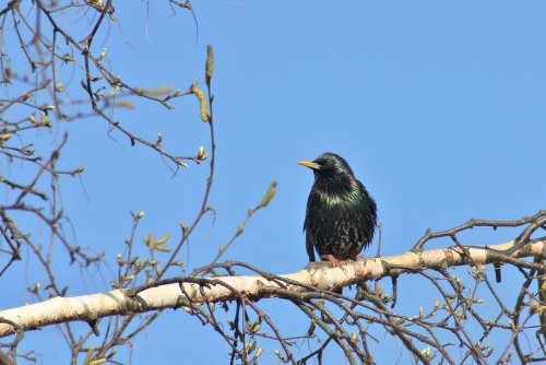 Where Have All The Others Gone Then ?