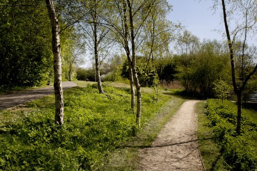 Biss Meadows Country Park, Trowbridge