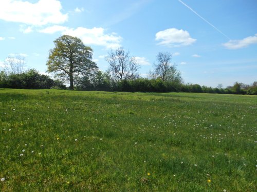 Draycote Meadows