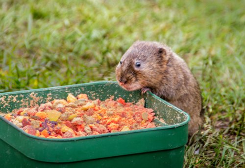 Makins Fishery Wolvey