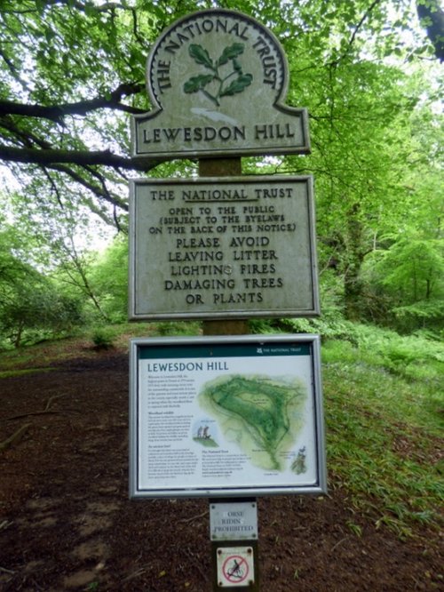 Lewesdon Hill