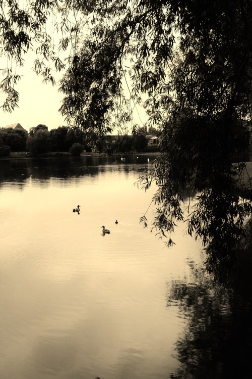 hemsworth water park