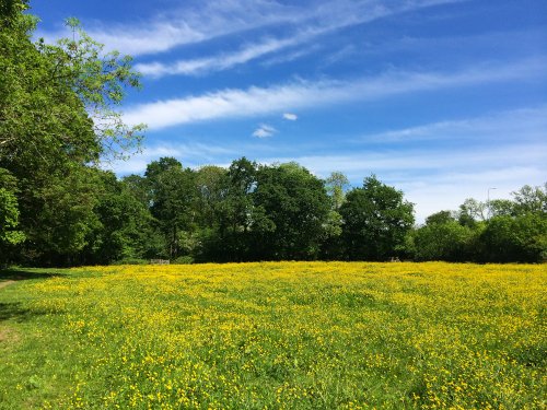 Fields near Malvern Park,Solihull