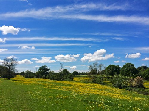 Fields near Malvern Park,Solihull 2