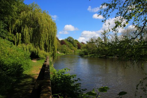 The River Wye from The Weir (National Trust)