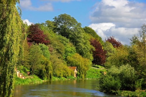 The Weir Gardens (National Trust).