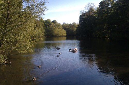 Manor Farm Park Lake, Bournville